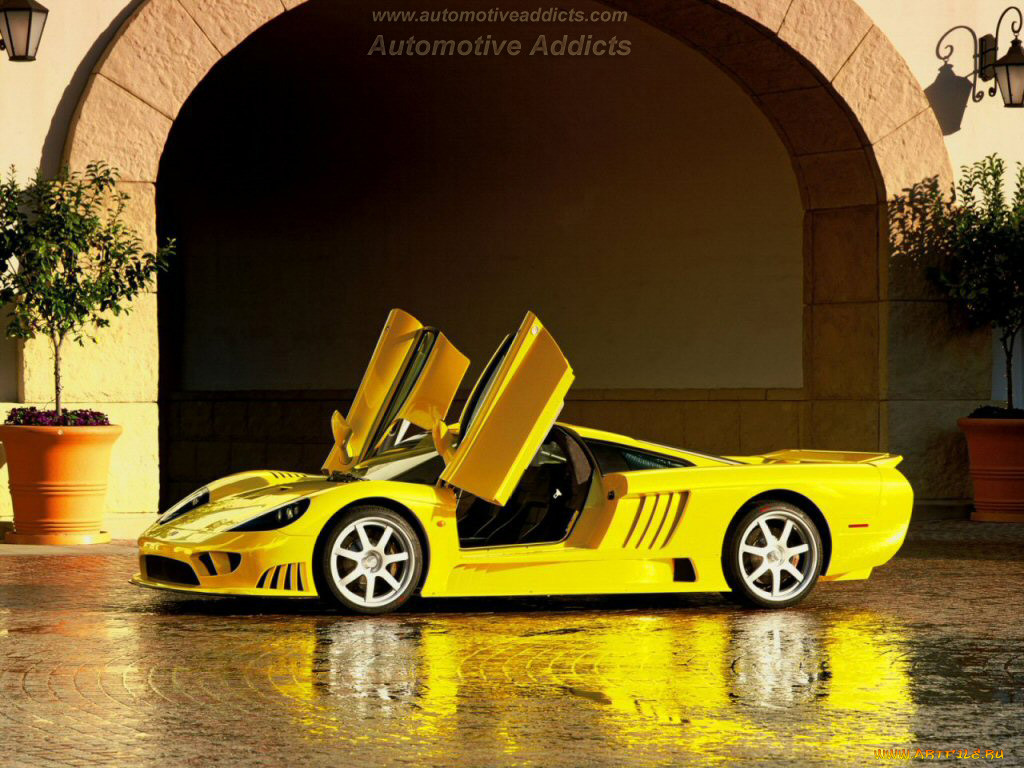 saleen, 